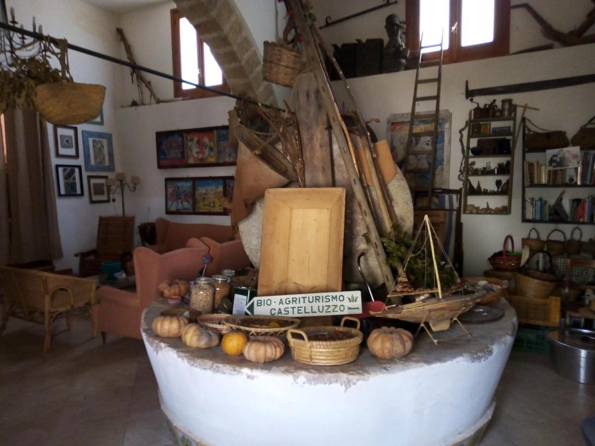 Organic Farm * Castelluzzo